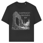 Carthago Delenda Est - Unisex Premium T-Shirt