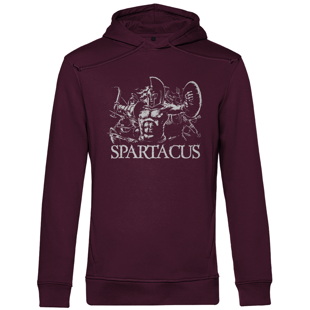 Spartacus - Herren Premium Hoodie