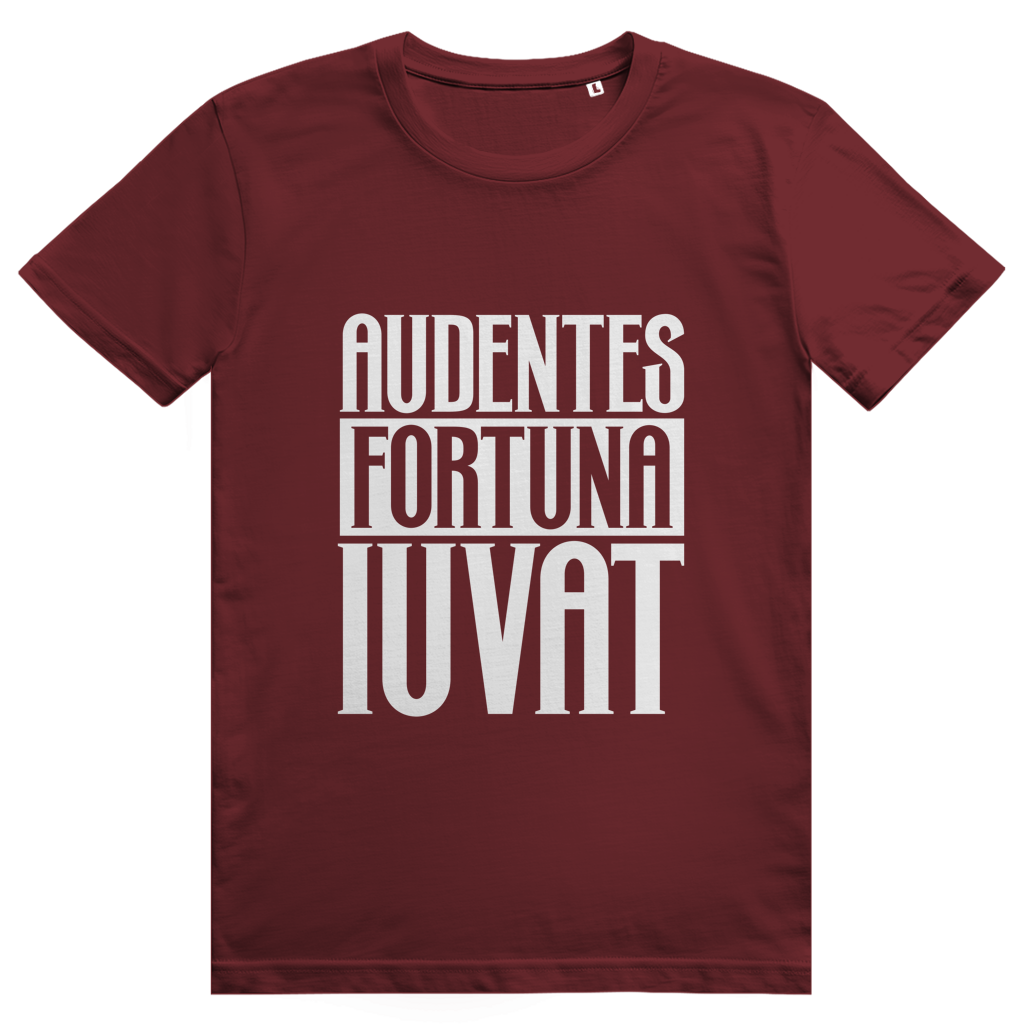 Audentes fortuna iuvat - Unisex Premium T-Shirt