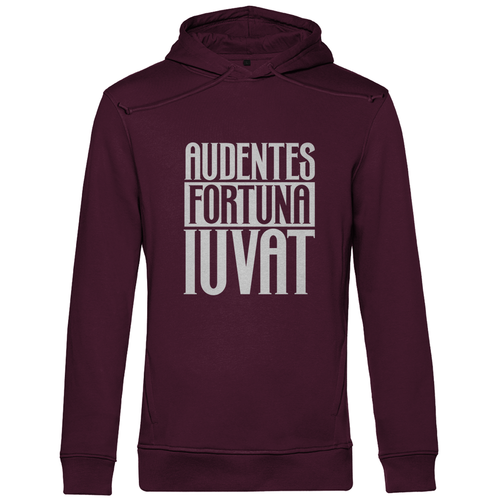 Audentes fortuna iuvat - Herren Premium Hoodie