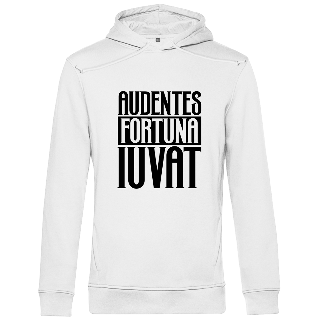 Audentes fortuna iuvat - Herren Premium Hoodie