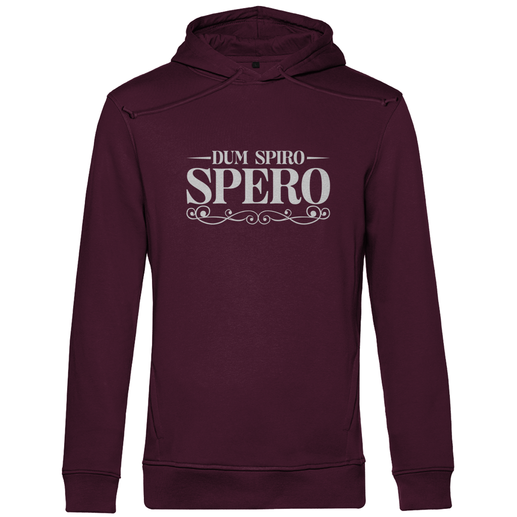 Dum spiro, spero - Herren Premium Hoodie