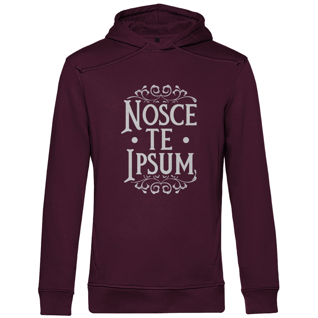 Nosce te ipsum - Herren Premium Hoodie