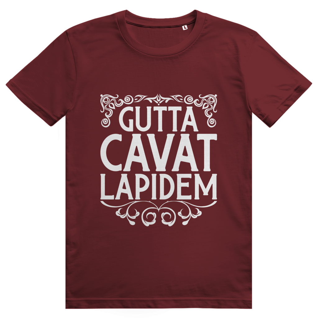 Gutta cavat lapidem - Unisex Premium T-Shirt