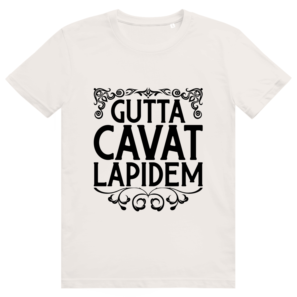 Gutta cavat lapidem - Unisex Premium T-Shirt