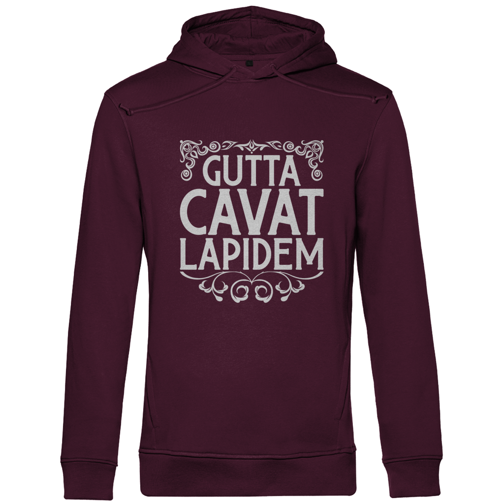Gutta cavat lapidem - Herren Premium Hoodie