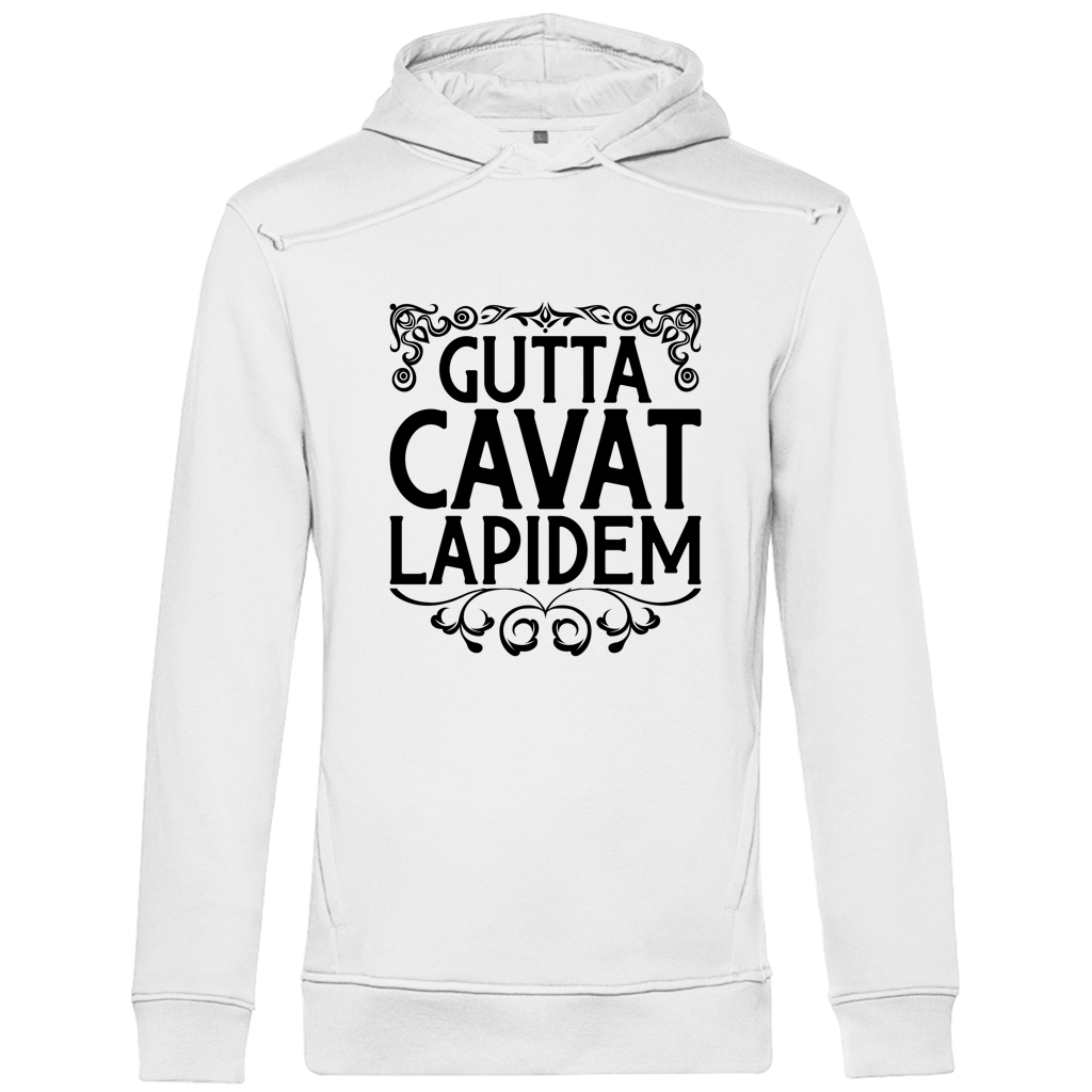 Gutta cavat lapidem - Herren Premium Hoodie