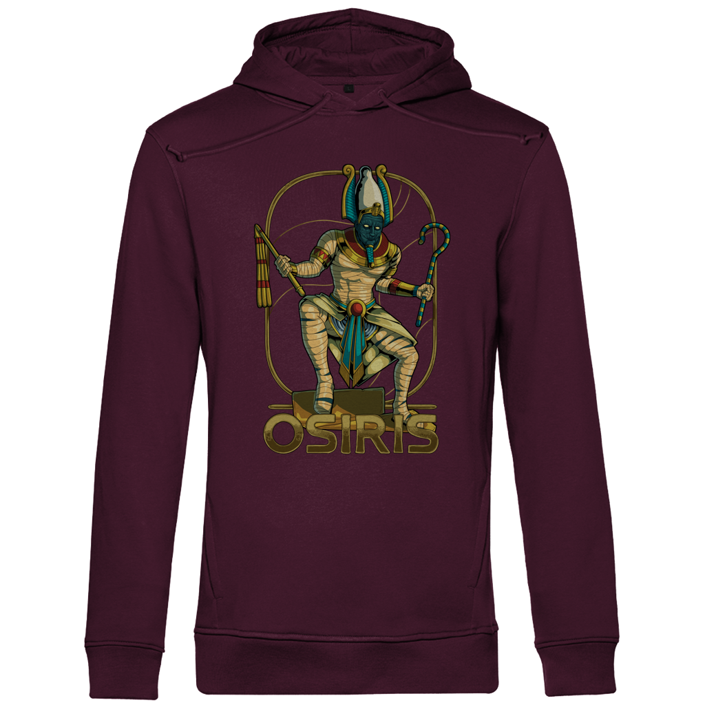 Osiris - Herren Premium Hoodie