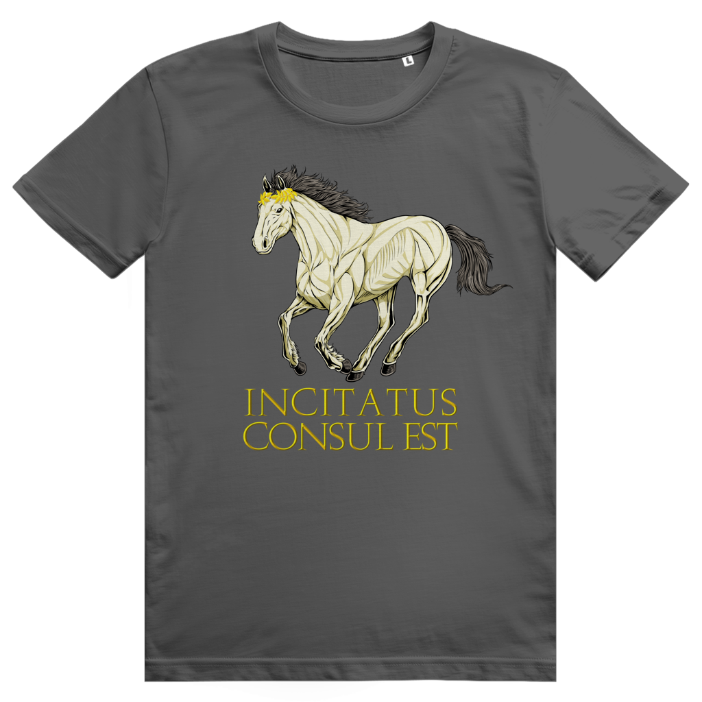 Dark Heather Grey