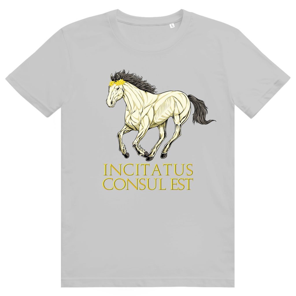 Mid Heather Grey